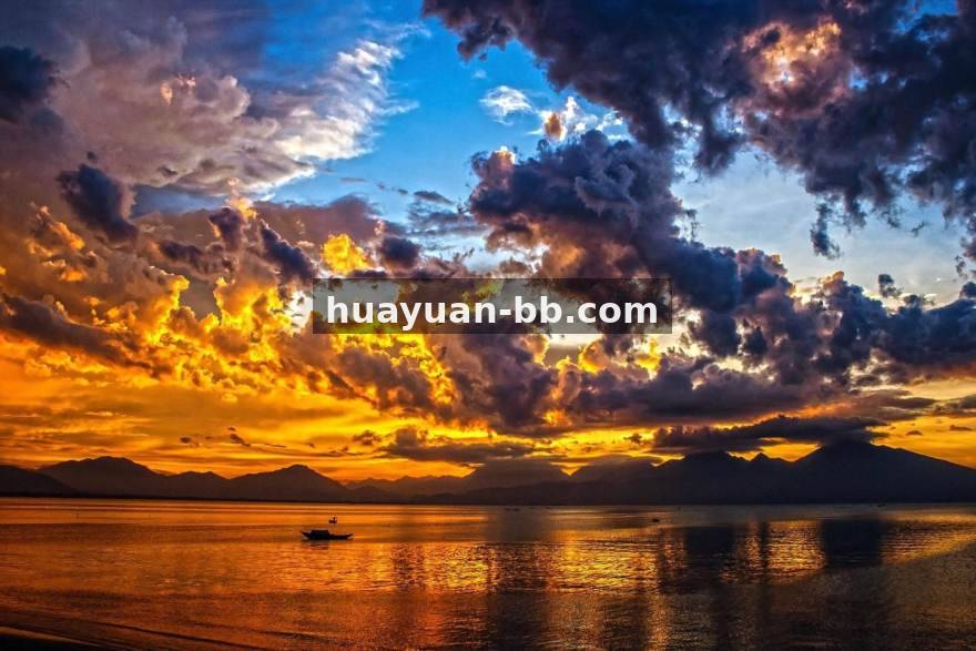 蜂鸟电竞社区用户互动场景